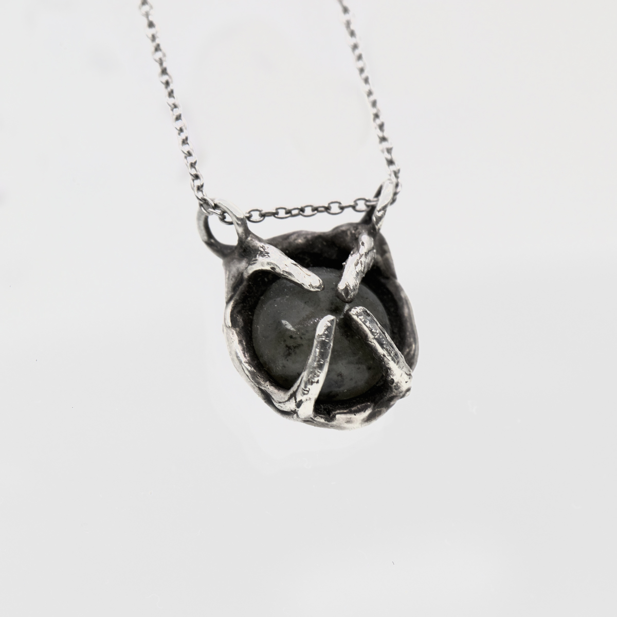 COLLARANEMONA2